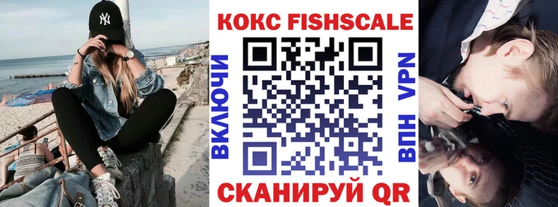 Кокаин FishScale  даркнет сайт  darknet Telegram  Губаха 