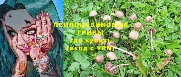 мдма Инта