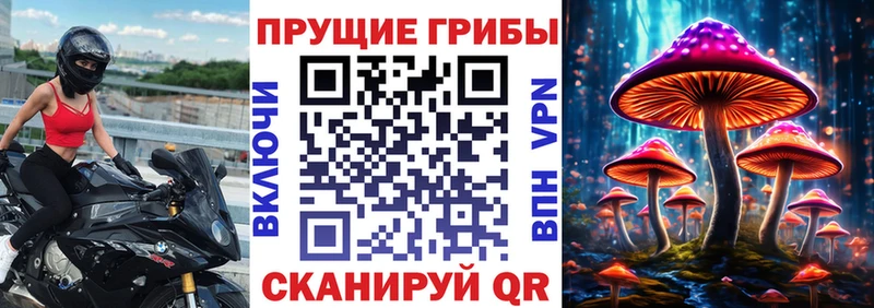 Псилоцибиновые грибы GOLDEN TEACHER  Губаха 