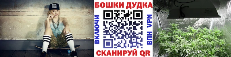 Бошки Шишки план  kraken ТОР  Губаха  где купить наркотик 